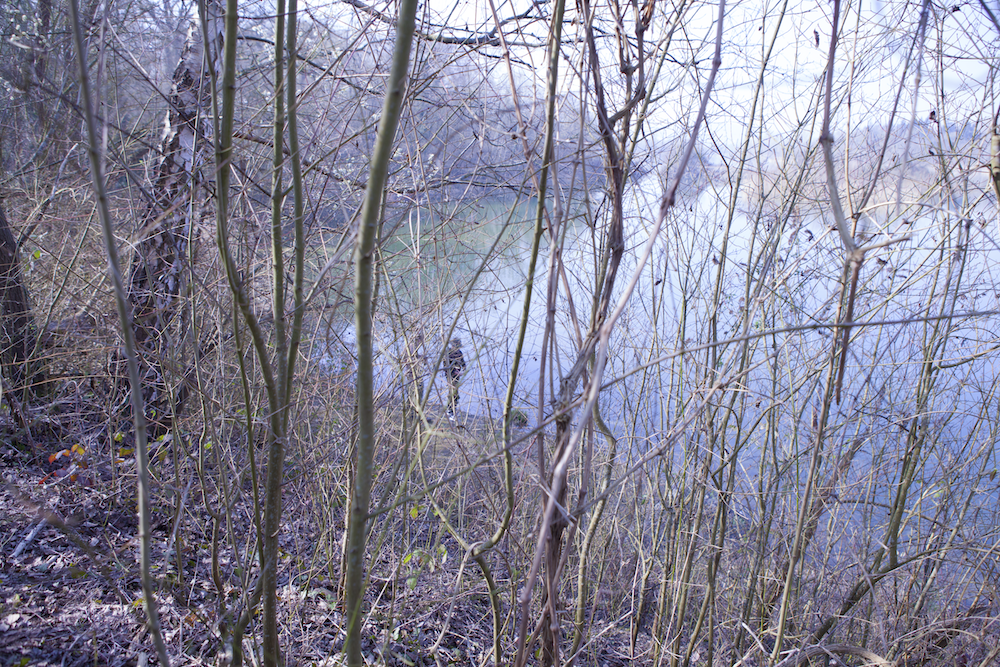 What Are You Fishing For?